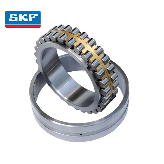 Double Row Cylindrical Roller Bearing N220 Ec P/C3 with Brass Cage for Industrial Machinery Replacement
