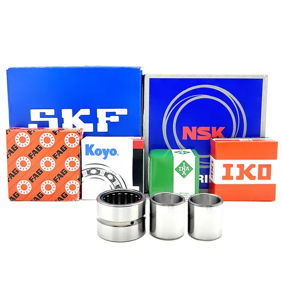 Needle Roller Bearing NK29/20 SKF 29x38x20mm for Industrial Machinery OEM Applications