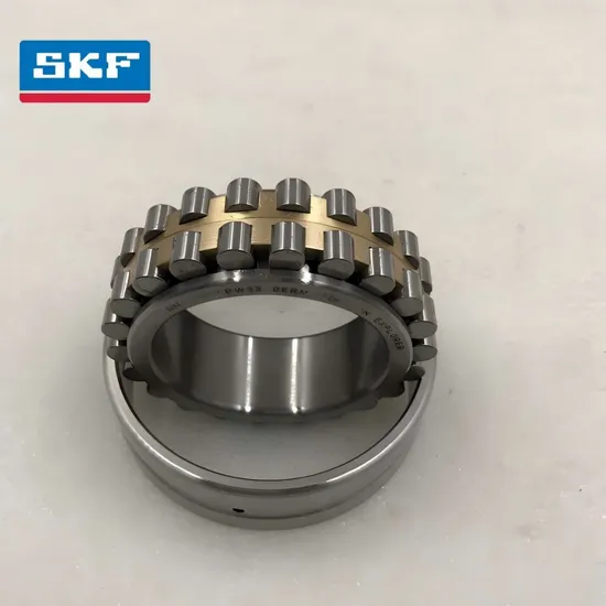 Double Row Cylindrical Roller Bearing NU2222-Ec P with C3 Clearance for Mixer Machine
